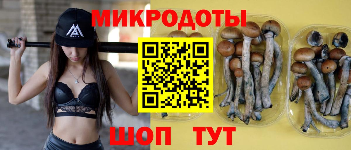 Лянтор  как найти закладки  Вход с VPN  Псилоцибиновые грибы GOLDEN TEACHER 